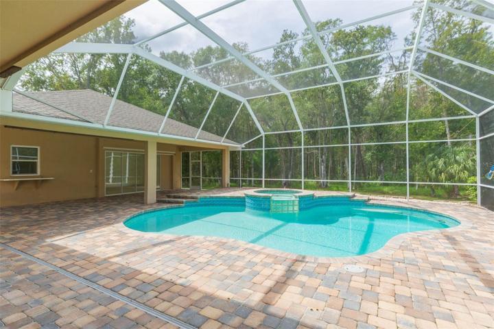Pool & Patio