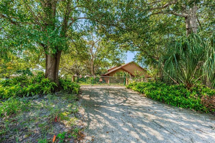Driveway