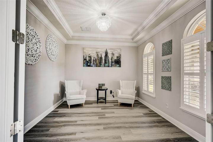 Flex room with tray ceiling