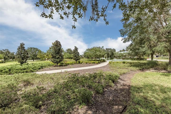 Park walking trail