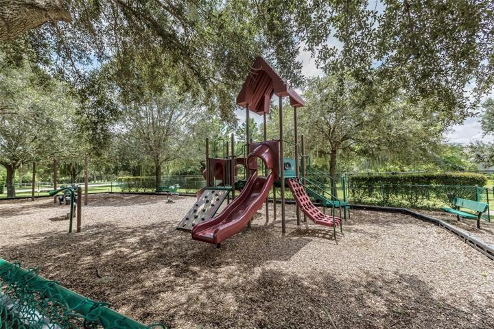 Park playground with dog park