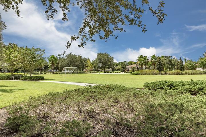 Park soccer field