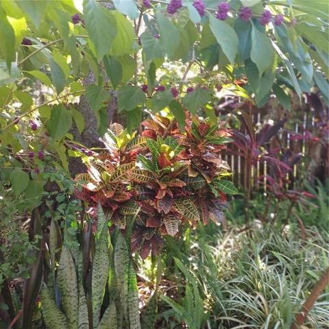 Foilage