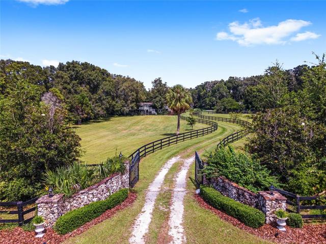 Driveway and gates