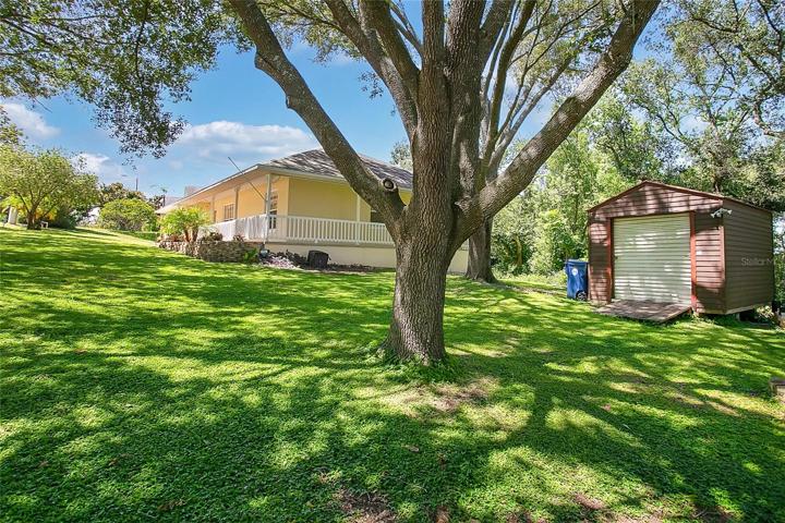Oversized yard with shade trees and utility shed