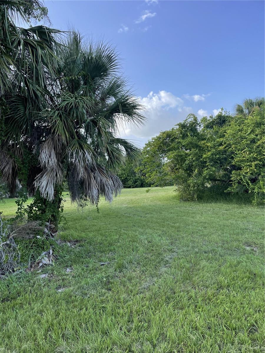 Placida, Florida 33946, 0 , 0 ,0,Land,For Sale,SPYGLASS,0,D6132398
