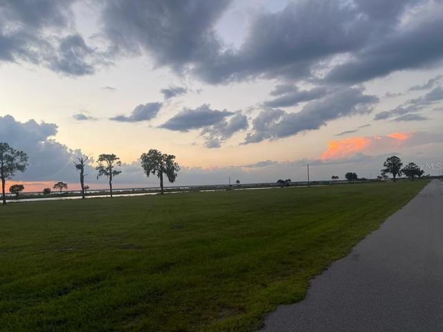 community view