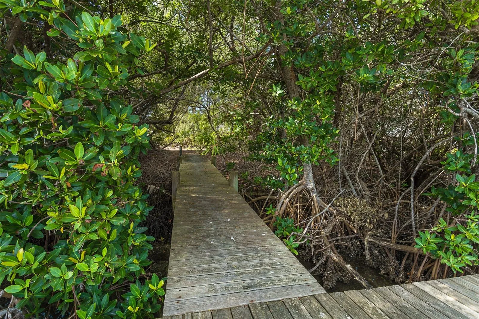 Walkway to Community Docks.