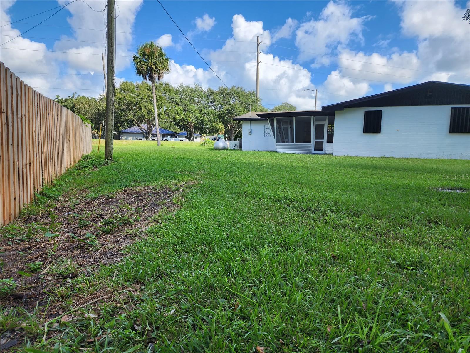 Back Yard
