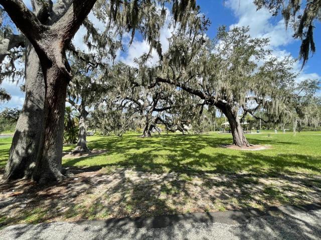 Beautiful trees in Rivercrest Park. Perfect for a day picnic while watching your children play on the playground and swings.