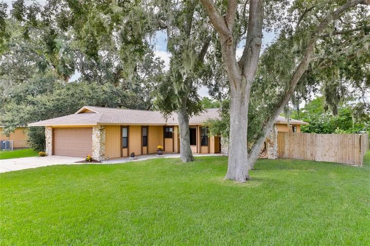 1852 Travelers Palm