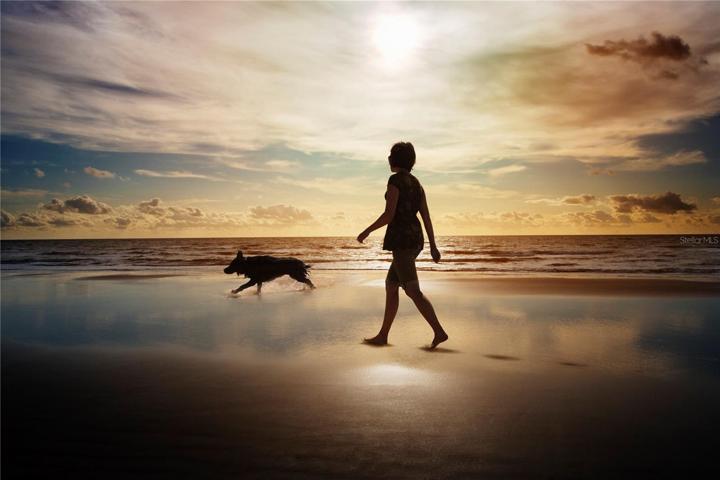 Watch the Sunrise with your dog.