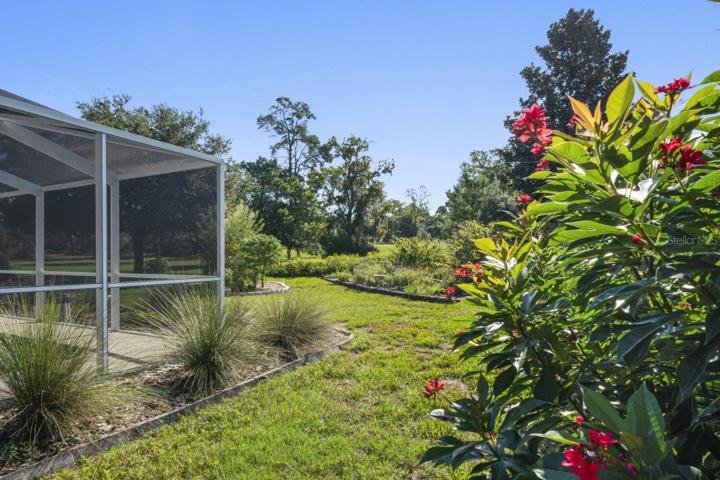 Side Yard