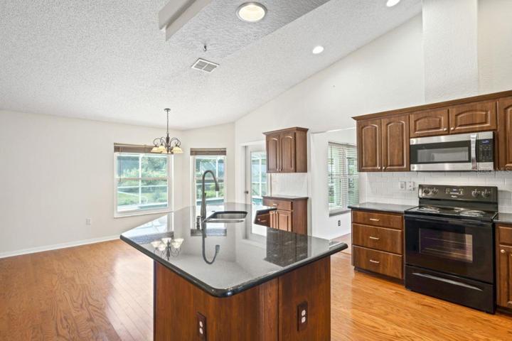 Kitchen, Family Room, and Breakfast Area