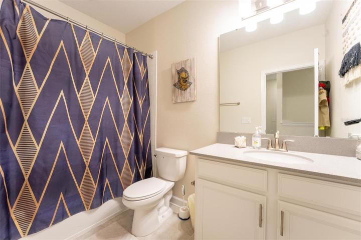 Upstairs Hall Bathroom - Go KNIGHTS!