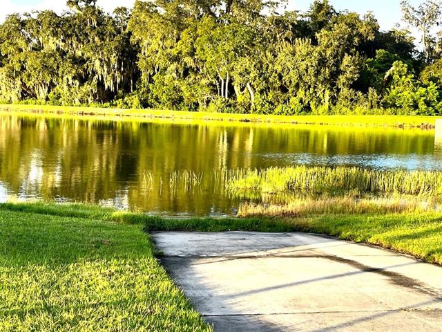 Lake Preserve Access