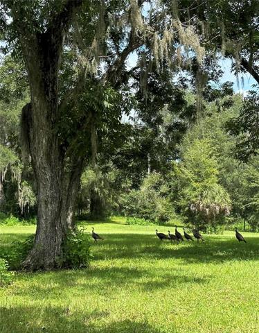 ABUNDANT WILDLIFE