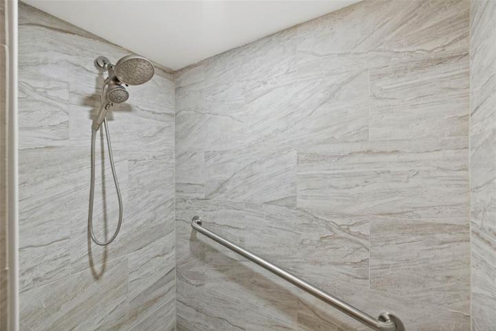 Primary Shower