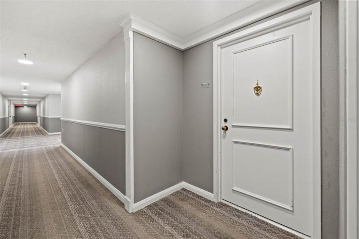 Interior Hall Way Entrance on Penthouse 1