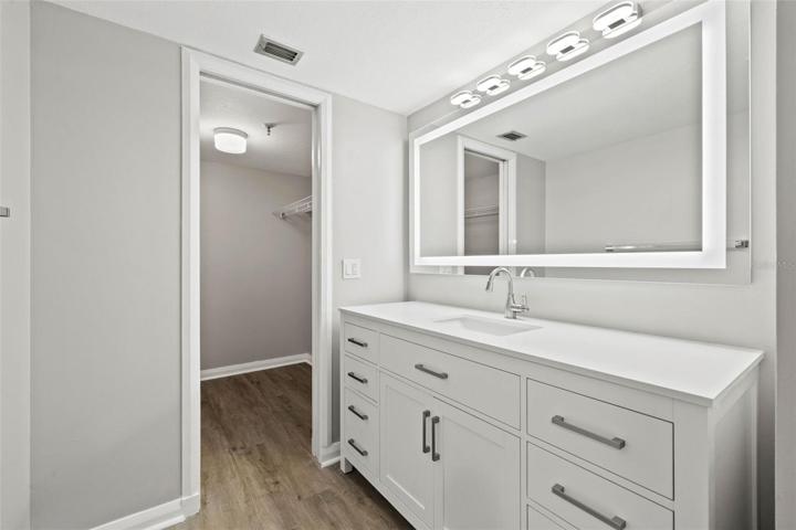 Primary Vanity & Walk In Closet