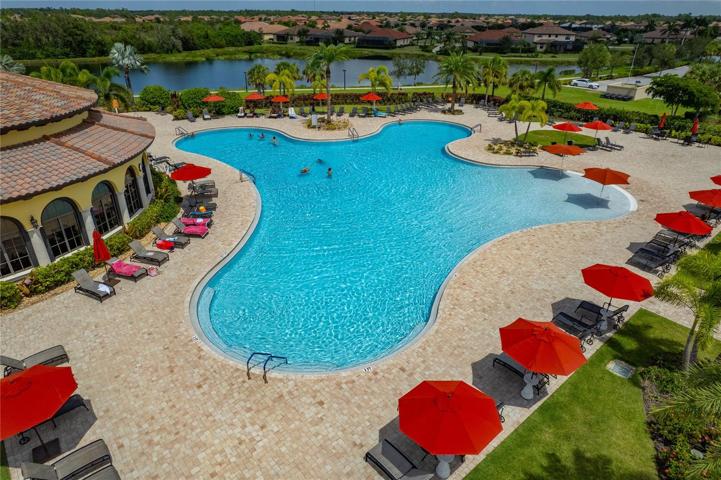LOUNGING CHAIRS WITH UMBRELLAS SURROUNDING THE COMMUNITY POOL!