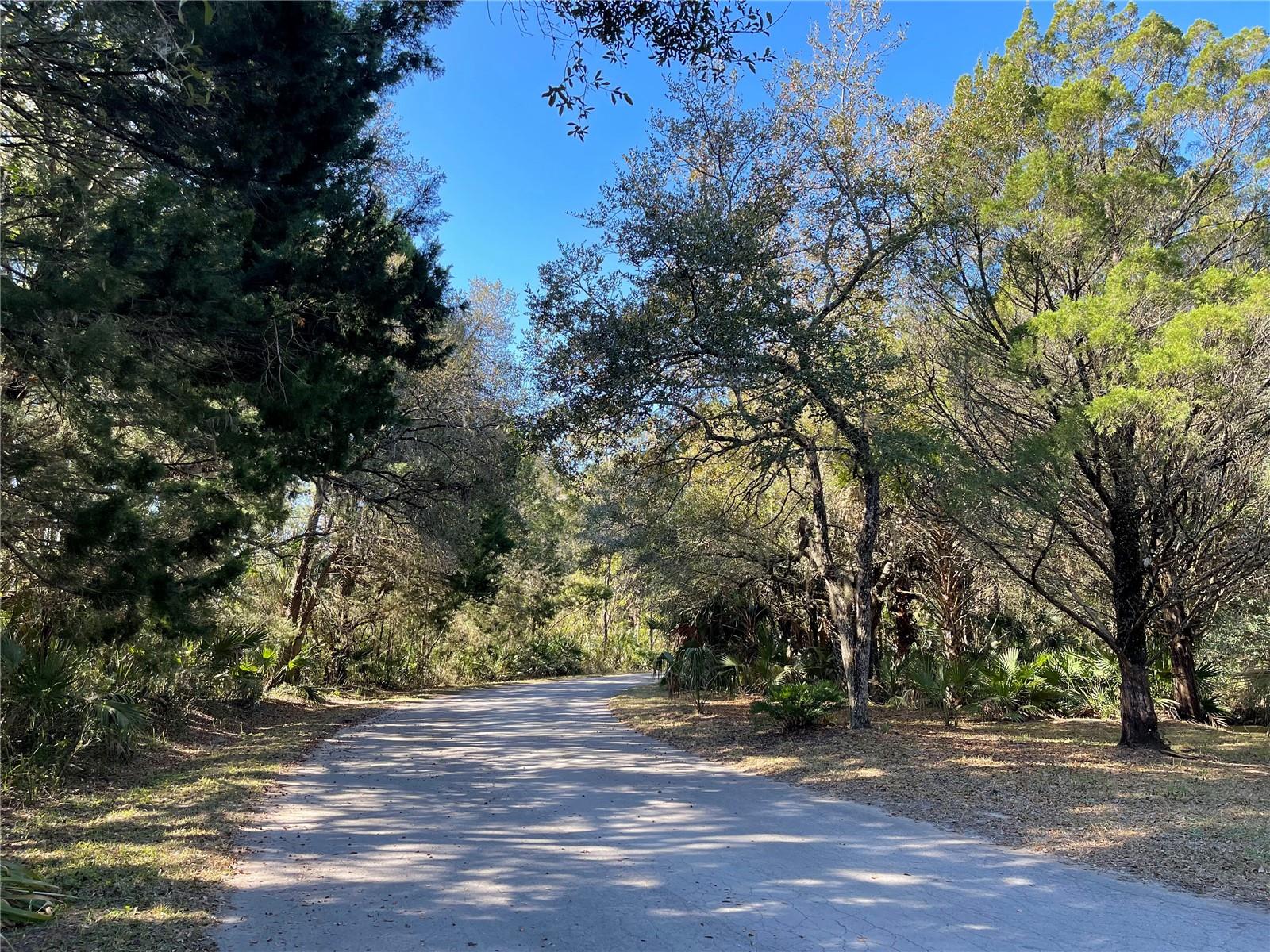 Road exiting back of neighborhood