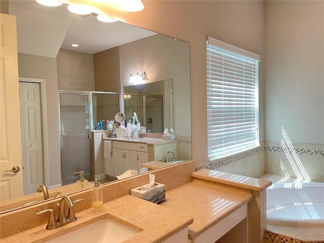 Vanity area in Master Bath