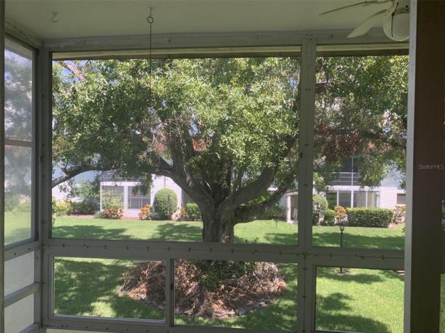 yard view