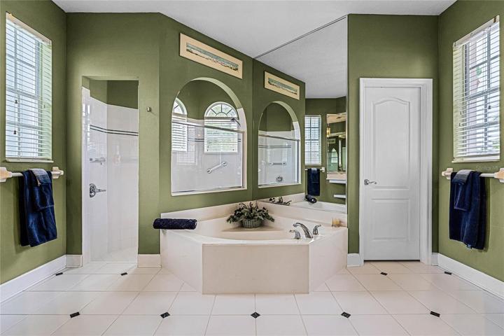 Master Bath with soaking tub and walk in shower