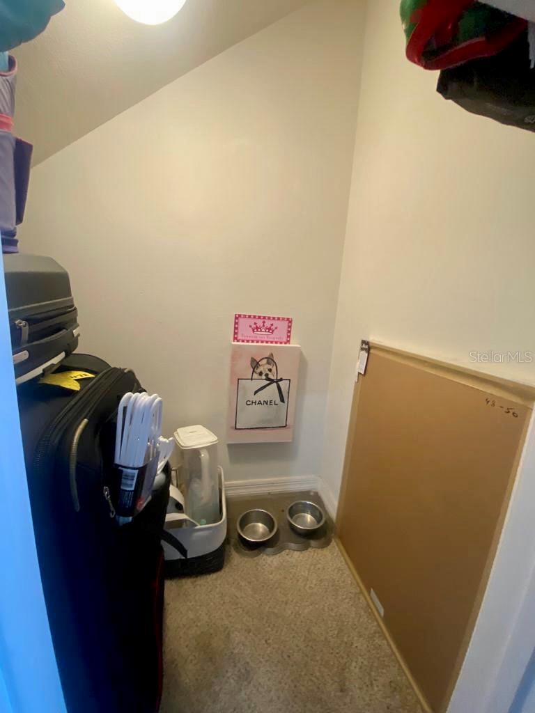 Filurais room