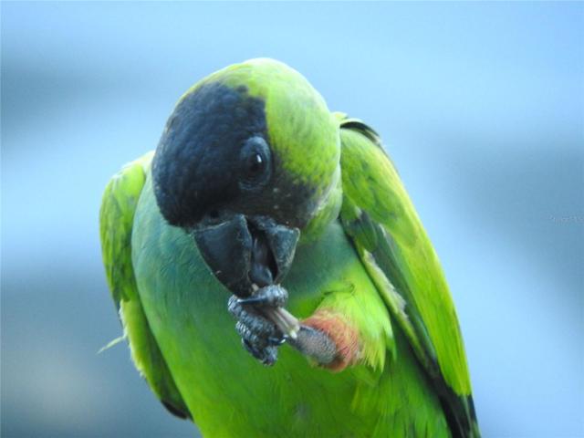 1170
