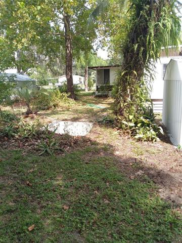 7920 E Pine Hollow Backyard