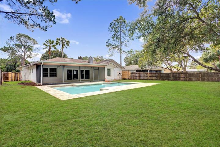 Backyard