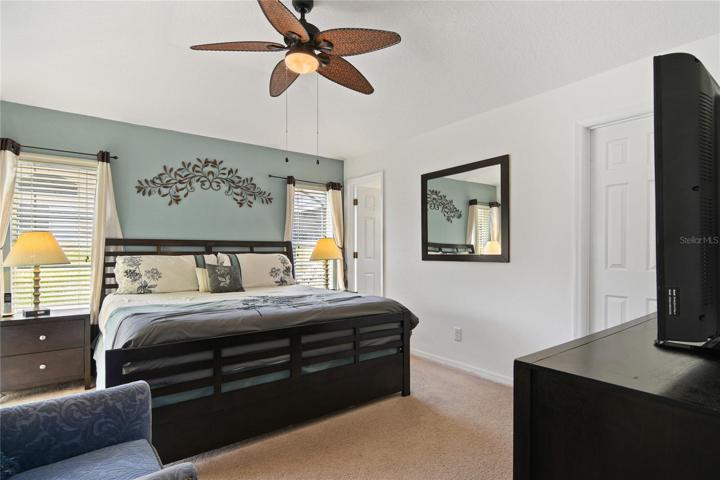 PRIMARY SUITE.