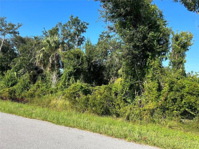 Right side of lot-2