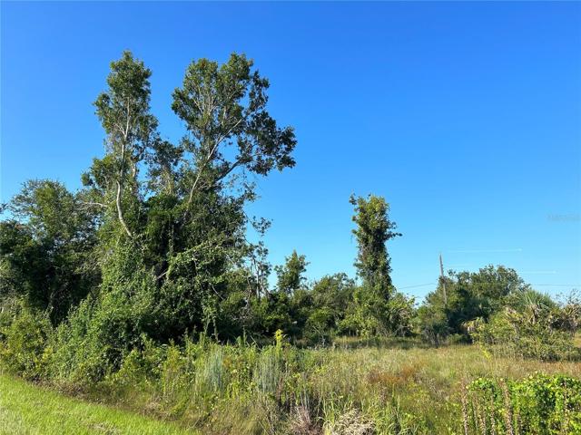 Right side of lot