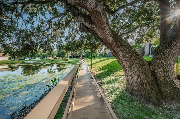 Community Boardwalk