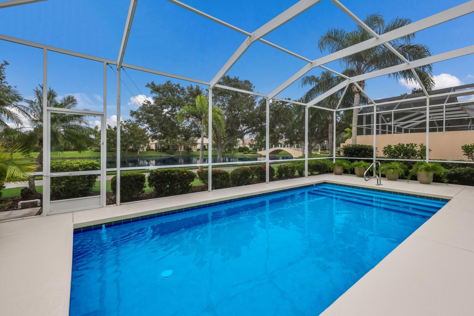 Pool and view