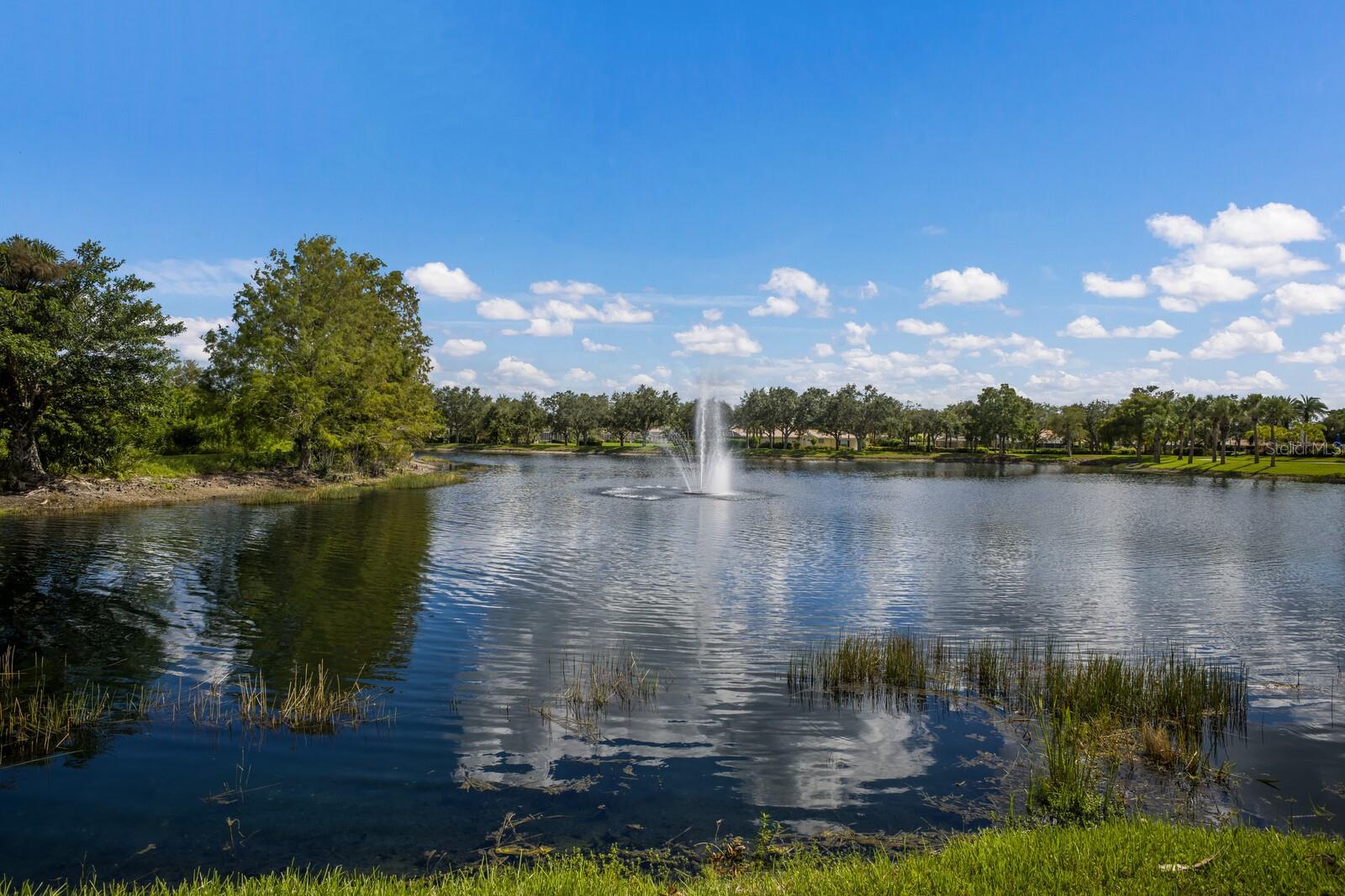 Central lake at amenity campus
