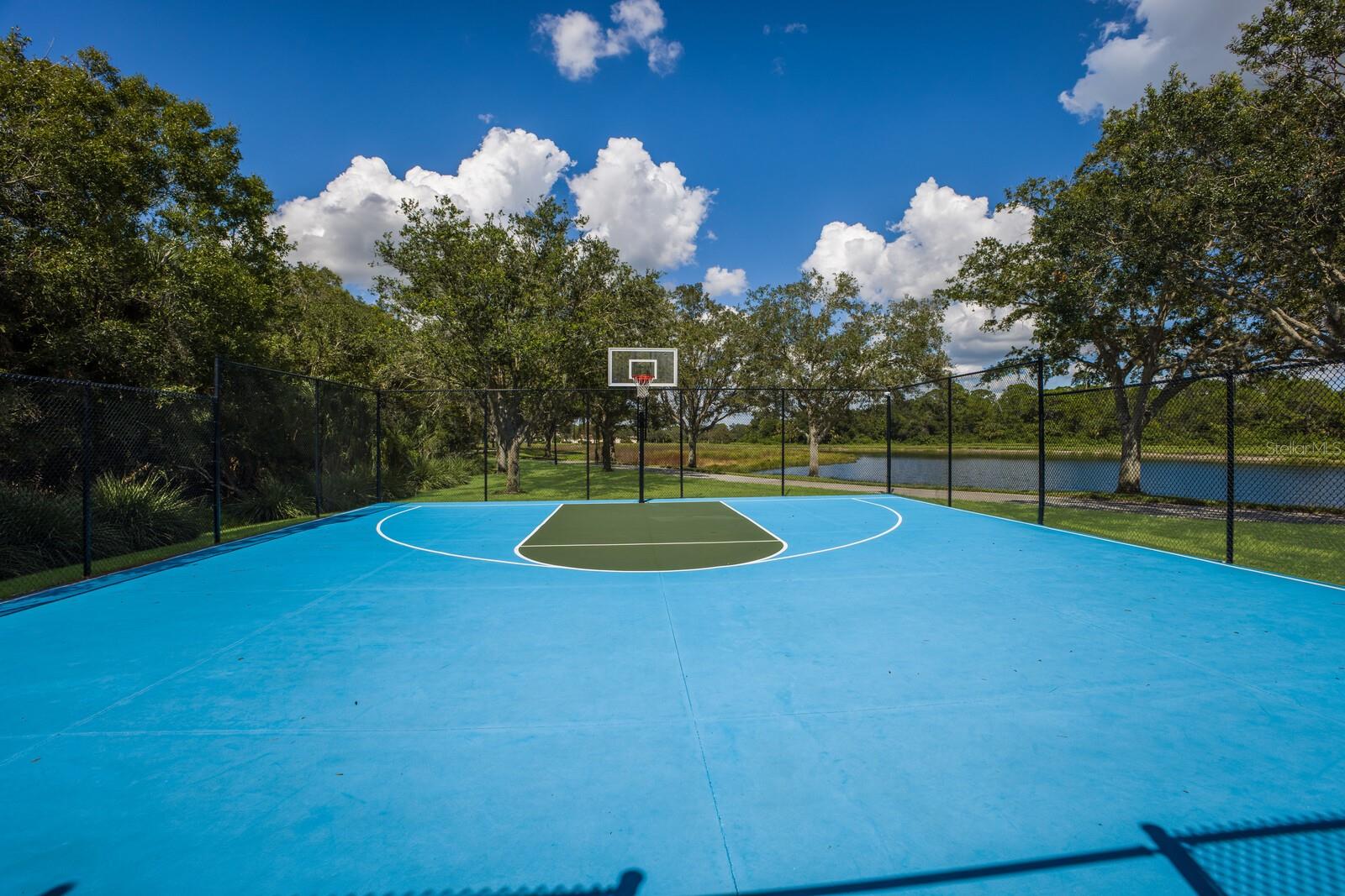 Basketball half court