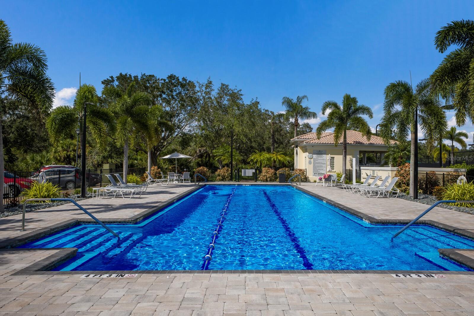 Lap pool