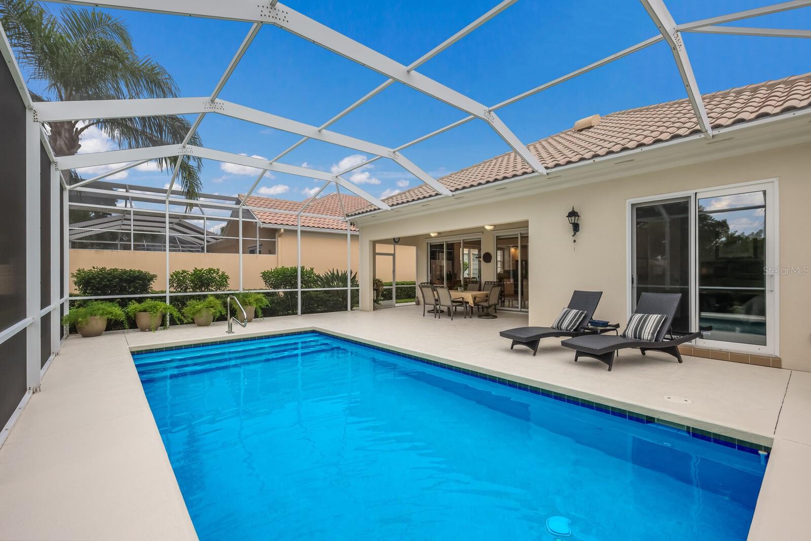 Pool and outdoor living