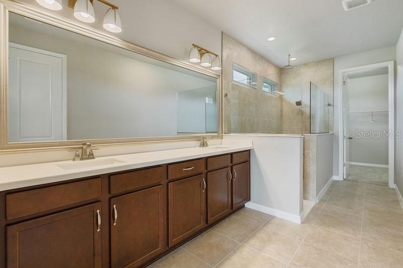 Owner's Bath