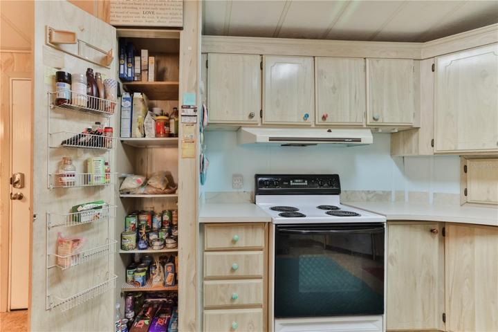 Kitchen and Pantry