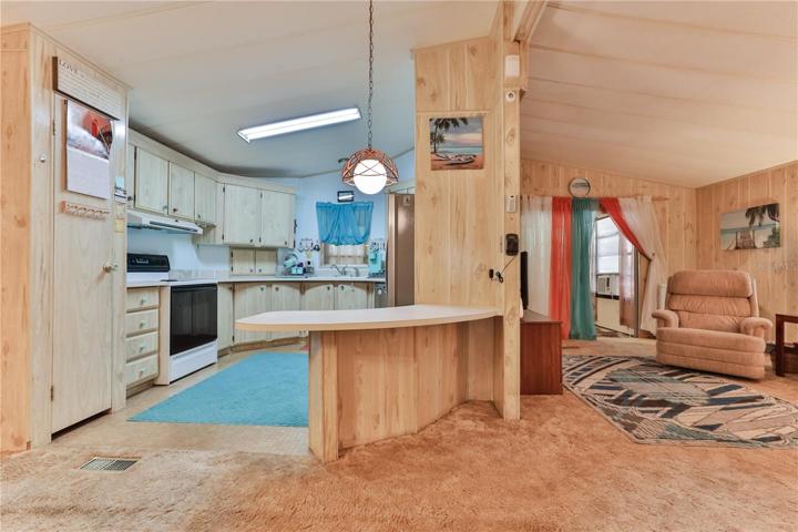 Dining/Kitchen