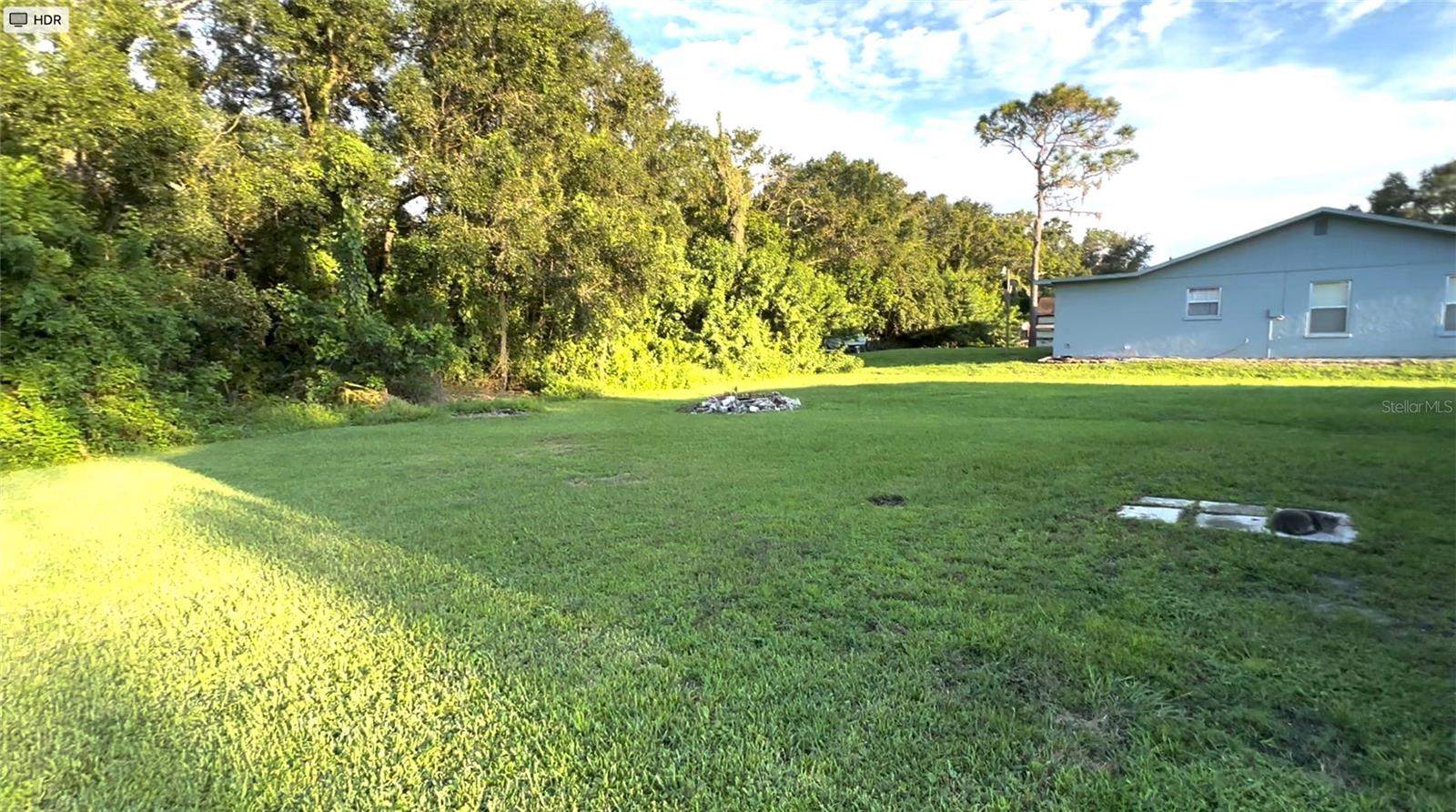 yard view