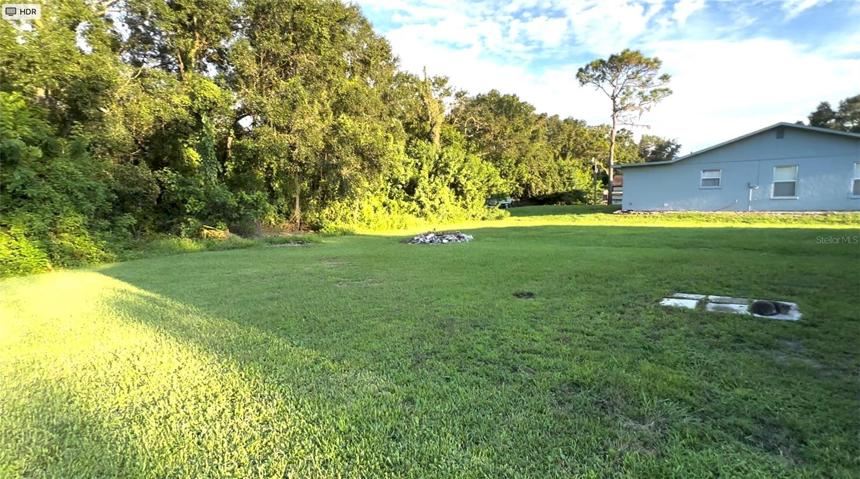 yard view