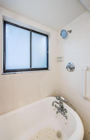 Clawfoot tub/shower