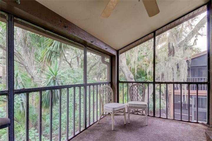 Rear Patio