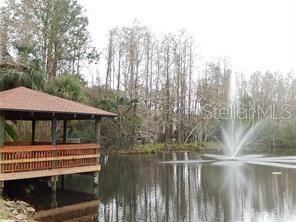 Community Lake - Dock